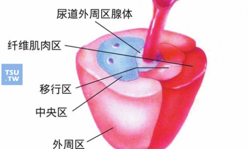 地底的功效网 - 为你提供地的功效与作用、地仓功效作用