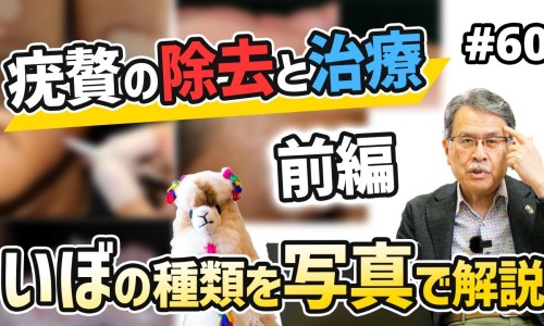 地的功效与作用-地底的功效网 - 为你提供地的功效与作用、地仓功效作用